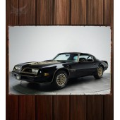 Металлическая табличка Pontiac Firebird Trans Am T A 6.6 RPO W72 Special Edition (Y82)